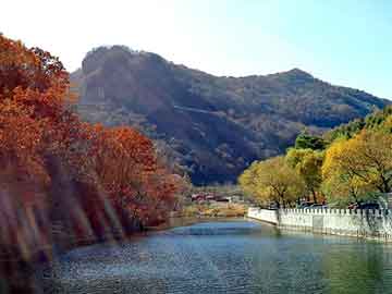 新澳天天开奖资料大全旅游团，股票软件代理